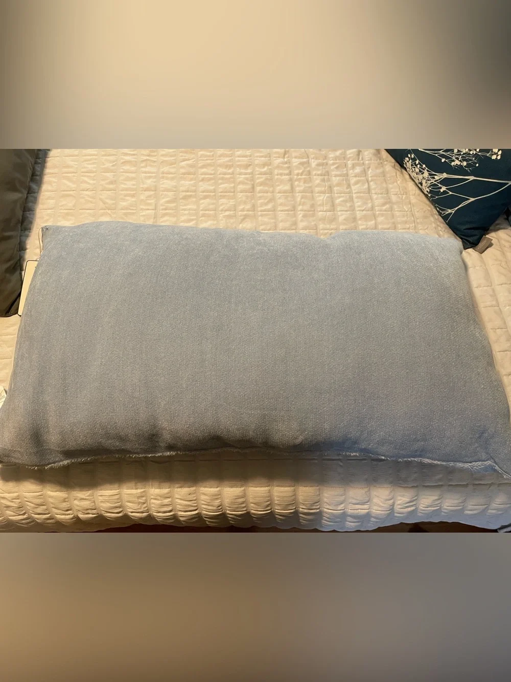 Aeropostale Light Blue Sweatshirt Jersey Body Pillow